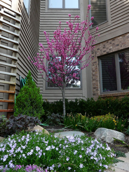 Back yard sun gardens.